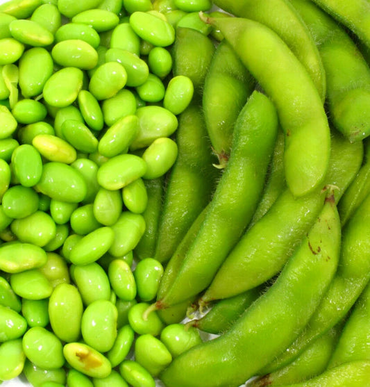 Edamame Soybean Seeds 10 Pack "Be Sweet" Asian Vegetable Glycine max
