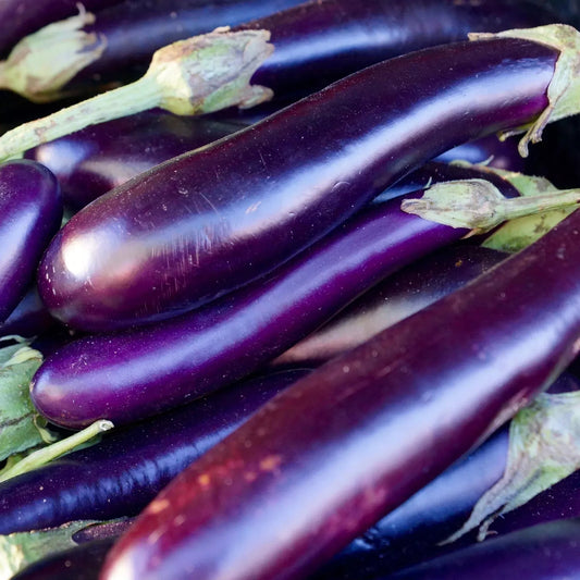 50 Long Purple Eggplant Seeds - Non-GMO Heirloom Variety - Quality Garden Seeds for Home Planting, Solanum melongena