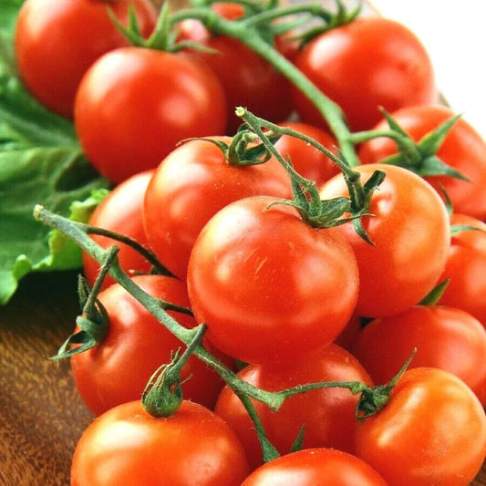 Organic Heirloom Cherry Tomato Seeds - 101+ Pack - Easy Patio Container Gardening (Solanum lycopersicum)