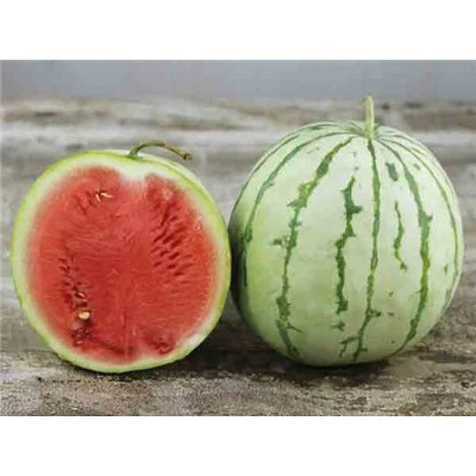 Dixie Queen Watermelon Seeds, NON-GMO, Crimson, Heirloom, Cuban Queen, Free Shipping