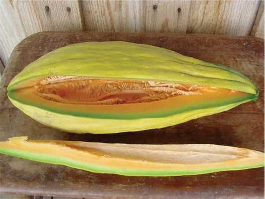 Heirloom Cantaloupe Seeds - Banana Melon, Sweet Musk, 20-100 Seeds, Rare Variety, Cucumis melo