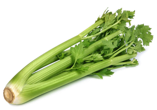 Utah Celery Seeds | Non-GMO Heirloom Seeds for Gardening | Apium graveolens