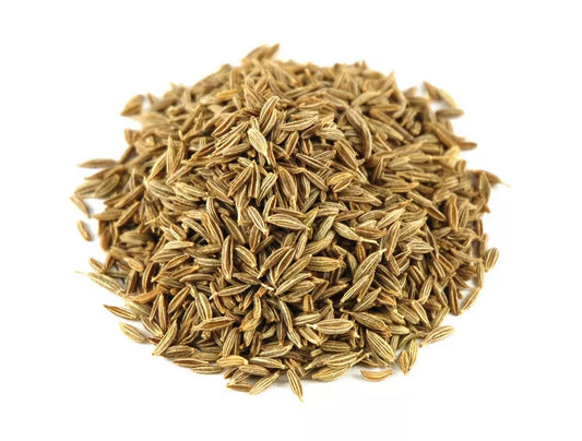 Cumin Herb Seed - 500+ Fresh Seeds - Cuminum cyminum - Culinary Spice for Home Garden