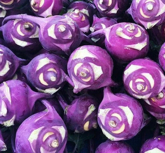 Kohlrabi Seeds 300+ Purple Vienna Vegetable Garden Culinary Brassica oleracea