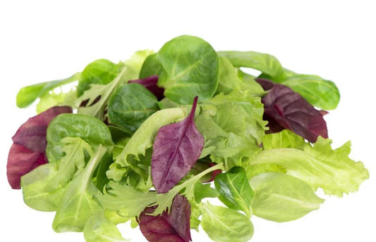 Lettuce Seeds - Mixed Greens - Mesclun Mix - Heirloom Varieties for Salad Gardens - Lactuca sativa