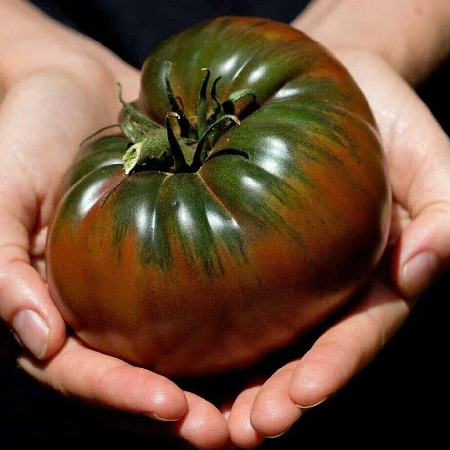 Russian Black Krim Tomato Seeds - 30+ Non-GMO Organic Heirloom Seeds - Perfect for Home Gardening - Solanum lycopersicum