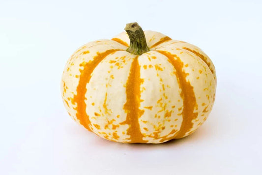 Dwarf Tiger Striped Pumpkin Seeds - 10 Pack - Colorful Fall Decor - Cucurbita pepo