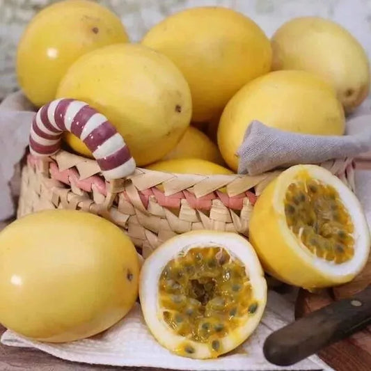 Yellow Passion Fruit Seeds - 30 Pack - Sweet Granadilla - Passiflora Ligularis - 2024 USA