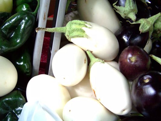 White Casper Eggplant Seeds - Rare Heirloom, 25 Pack - Solanum melongena - USA Grown
