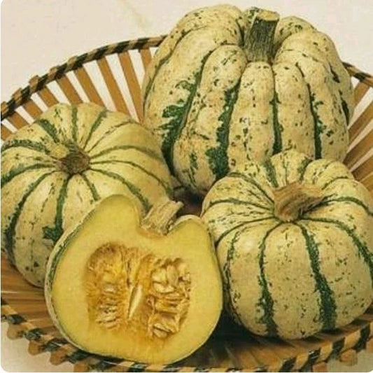 Sweet Dumpling Winter Squash Seeds - 40+ Non-GMO Open Pollinated Seeds - Cucurbita pepo