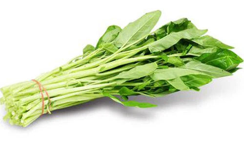 50 White Stem Water Spinach Seeds, Ong Choy, Kong Xin Cai, Heavy Producer, Fresh USA