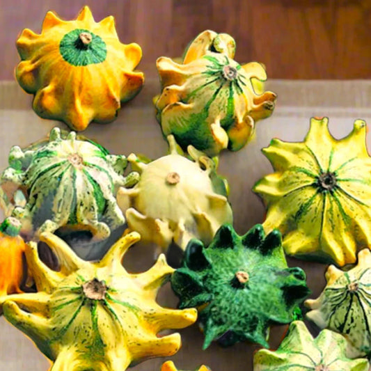 Crown of Thorns Ornamental Gourd Seeds - Shenot Ten Decorative - Unique Garden Seeds for 2025 Planting