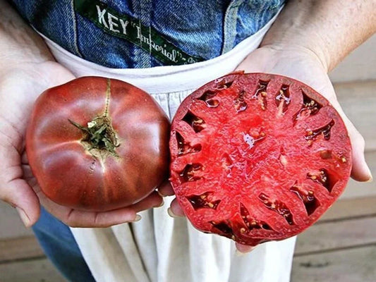 Cherokee Purple Tomato Seeds - Heirloom Non-GMO - 10+ Fresh Seeds - Solanum lycopersicum