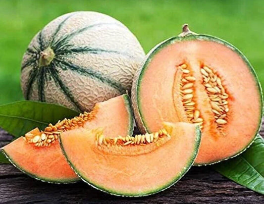 Premium Charentais Melon Seeds - 20 Fresh Super Sweet Seeds - Cucumis melo