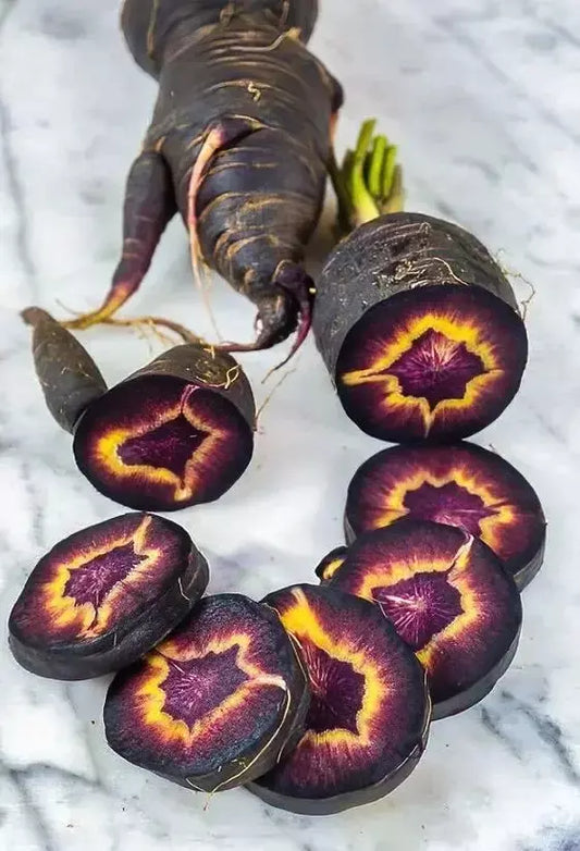 Black Nebula Carrot Seeds - 200+ Heirloom Organic NON-GMO - Rare Vegetable Seeds for Home Gardening (Daucus carota)