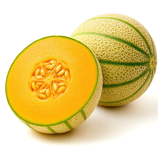 Honey Rock Cantaloupe Seeds 125+ Heirloom Non-GMO Sweet USA - Cucumis melo