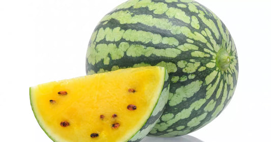 Yellow Petite Heirloom Watermelon Seeds - 11 Seeds - Citrullus lanatus - GroCo USA