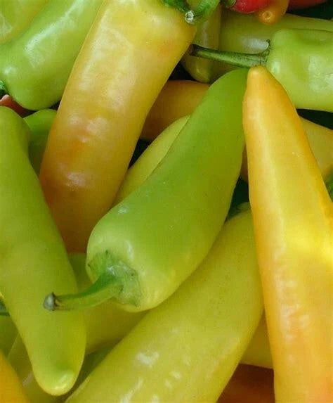 Hungarian Hot Wax Pepper Seeds - 50+ Non-GMO Vegetable Seeds - Capsicum annuum - US Seller, Free Shipping