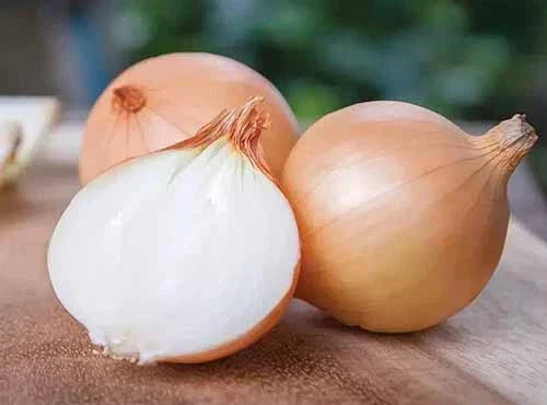 Yellow Granex Onion Seeds - 500+ Count for Garden Planting - Allium cepa - USA Grown - Non-GMO