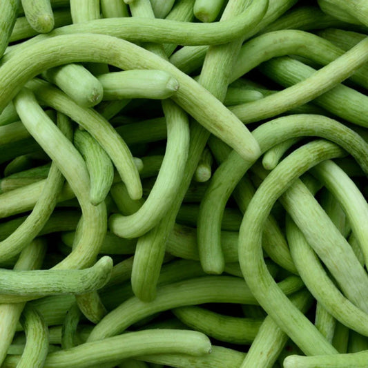 Dark Armenian Cucumber Seeds - 50+ Long Snake Serpent Vegetable - Cucumis melo - USA, Free Shipping