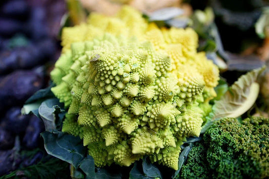 Romanesco Broccoli Seeds - 1000 Non-GMO Heirloom Seeds | Brassica Oleracea | USA Seller, Free Shipping