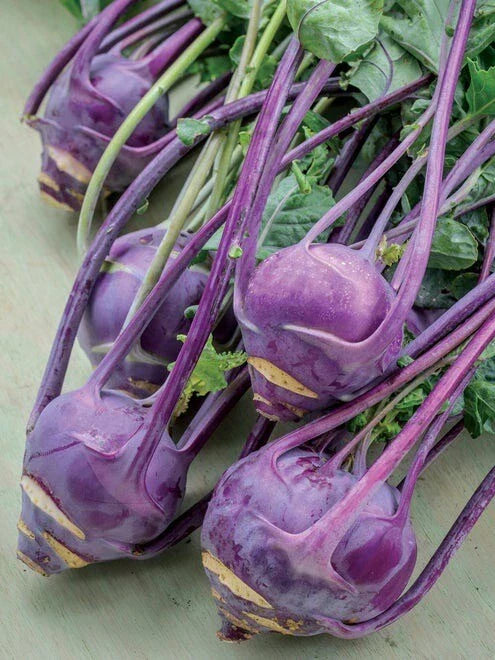 Purple Vienna Kohlrabi Seeds - 200+ Non-GMO Heirloom Fresh Garden Seeds - Brassica oleracea