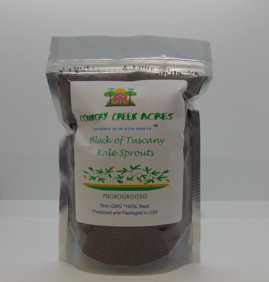 Black of Tuscany Kale Seeds - Heirloom Italian Variety - Brassica oleracea