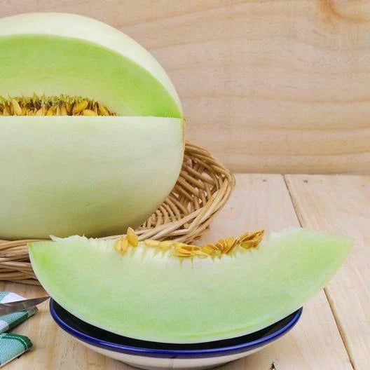 Honeydew Melon Seeds - 100 Non-GMO Green Flesh Seeds - Sweet Honeydew (Cucumis melo) - Free Shipping