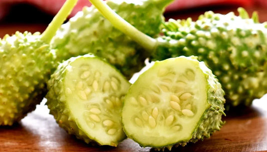 West Indian Gherkin Seeds - 100+ Burr Spike Cucumber Seeds - Cucumis anguria - Rare Heirloom Variety