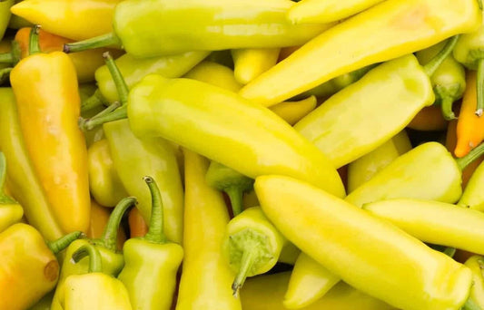 Yellow Hot Jalapeno Pepper Seeds, NON-GMO, Caloro Variety, Capsicum annuum, Free Shipping