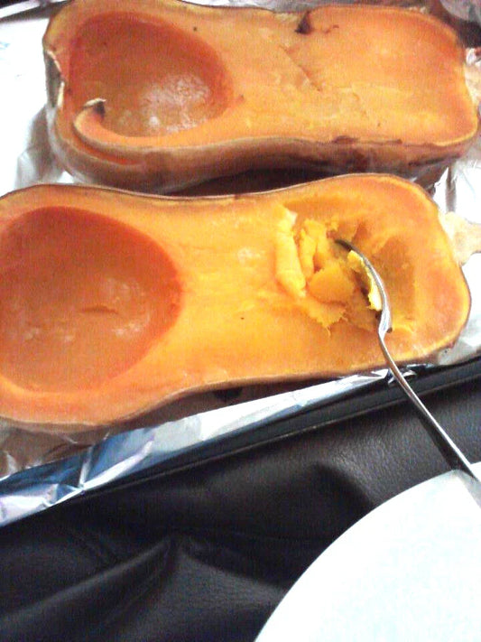 Butternut Squash Seeds - 24 Pack - Cucurbita moschata - GroCo USA - Heirloom Variety