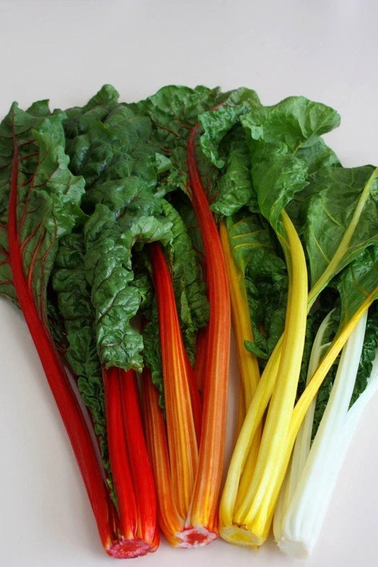 Swiss Chard Seeds - Orange Fantasia - 50 Seeds - Bright Orange - Ideal for Salads - Beta vulgaris subsp. cicla