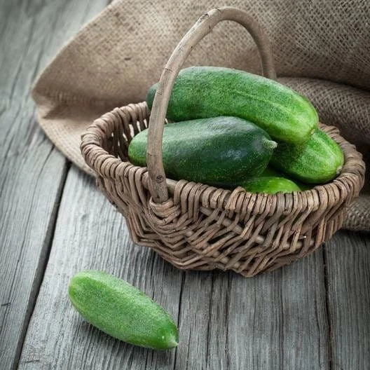 Spacemaster Cucumber Seeds - 80 Non-GMO Heirloom Seeds - Ideal for Small Gardens, Cucumis sativus