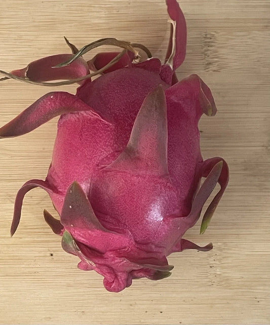Taiwan Mibao Dragonfruit Cutting - Fresh Pitaya Cutting - Hylocereus undatus Variety