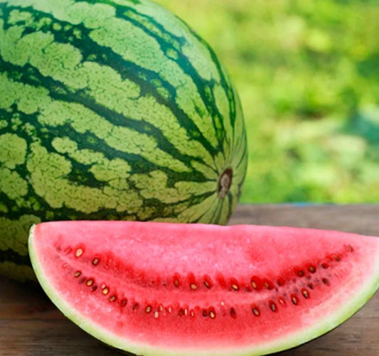 Crimson Sweet Watermelon Seeds - 25+ Pack - High Yield, Sweet Flavor, Citrullus lanatus
