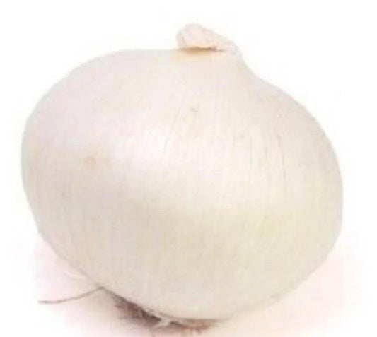 Eclipse L303 Onion Seeds | NON-GMO Heirloom | Fresh Garden Seeds | Allium cepa