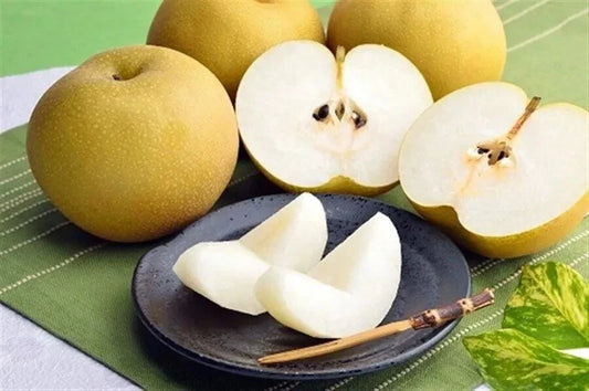 Asian Pear 10 Seeds - Pyrus pyrifolia - Japanese & Korean Varieties - 2024 USA