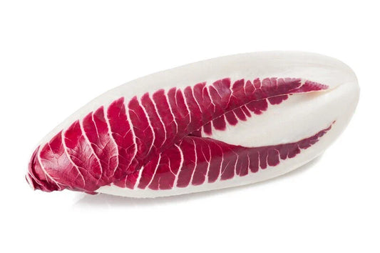 Endive Seeds - 1000 Count - Red Treviso - Non-GMO Heirloom - Ideal for Home Garden - USA Seller