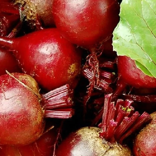 Dark Red Detroit Beet Seeds | NON-GMO Heirloom Garden Seeds | Vegetable Seeds for Planting, Beta vulgaris