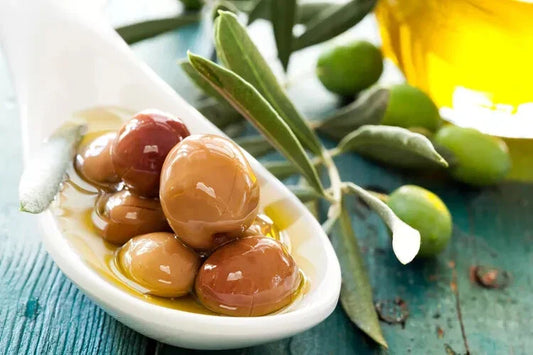 Arbequina Olive 10 Seeds - Spanish Variety - Olea europaea - Ideal for Home Garden Planting - Fast Shipping USA