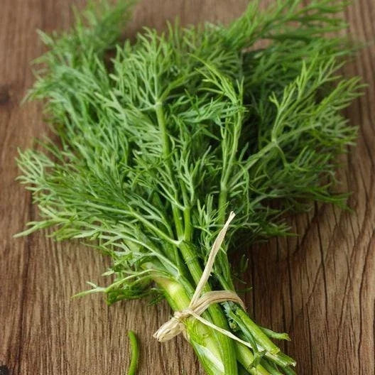 Dill Seeds Bouquet Non-GMO Heirloom, Fragrant Culinary Herb Seeds, Anethum graveolens, Shipped With Tracking