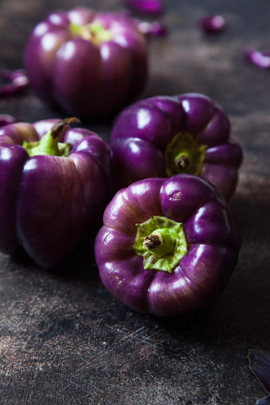 Purple Beauty Pepper Seeds - 100+ Seeds - Versatile Edible Pepper for Planting - Capsicum annuum