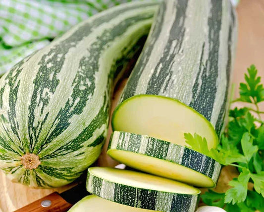 Cocozelle Squash Seeds - 25+ Heirloom Seeds for Garden Planting - Cucurbita pepo - USA