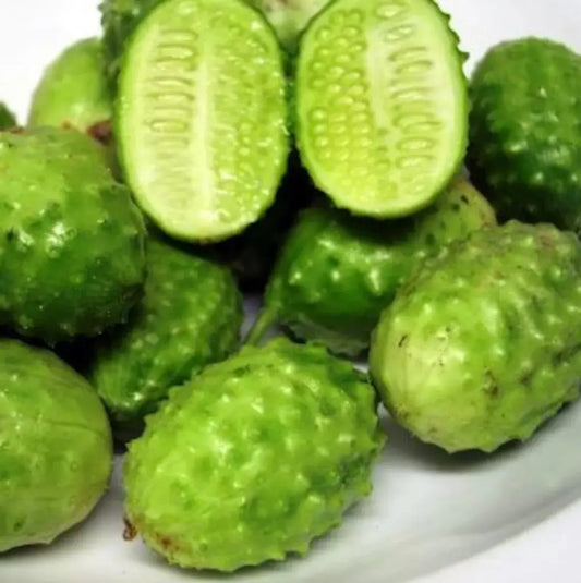 West Indian Gherkin Seeds - 100+ Heirloom Burr Spike Cucumber - Rare Variety - Cucumis anguria