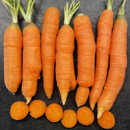 Mokum Carrot Seeds - 1000+ Seeds for Garden Planting - Daucus carota - USA Grown, Non-GMO, Heirloom
