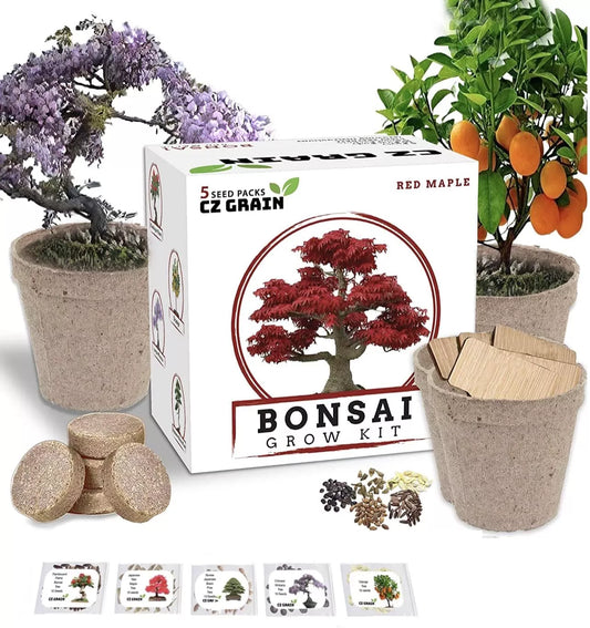 Bonsai Tree Kit - All-in-One Grow Kit for 5 Species - Indoor Gardening - Bonsai Trees (Ficus, Juniper, etc.)