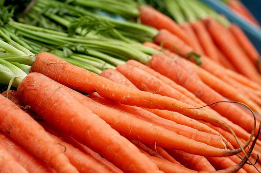Nantes Scarlet Carrot Seeds - 775 Seeds - Daucus carota - USA GroCo