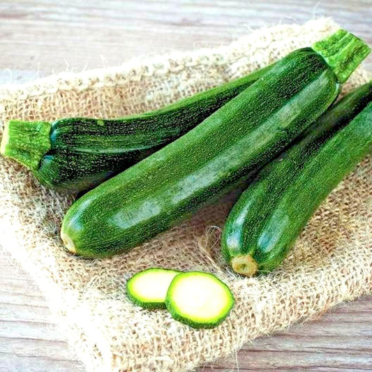 Zucchini Seeds 125+ Black Beauty Heirloom Non-GMO Cucurbita pepo