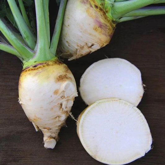Gilfeather Rutabaga Seeds - 500+ Count - Heirloom Vegetable - Brassica napus - Ideal for Garden Planting, USA