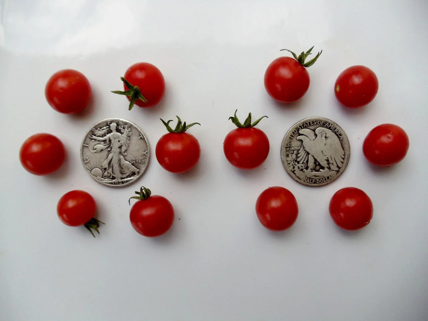 Wild Sweetie Seeds - 30 Count - Super Sweet Variety - Great for Salads - Perfect for Home Gardens